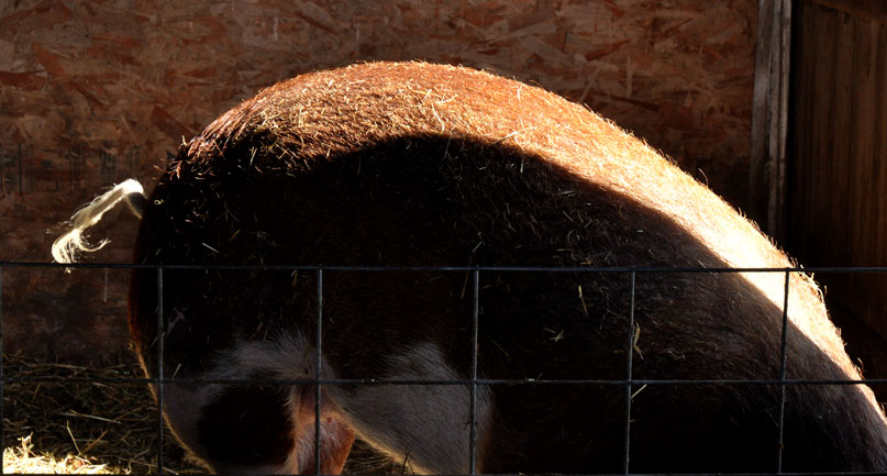 Late night, early&nbsp;morning