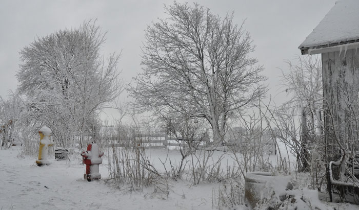 again-with-the-snow-019