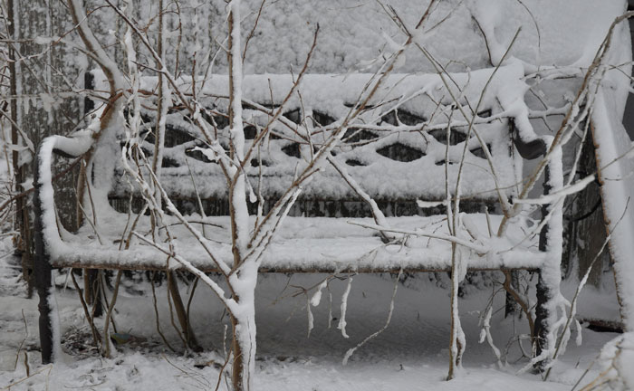 again-with-the-snow-023