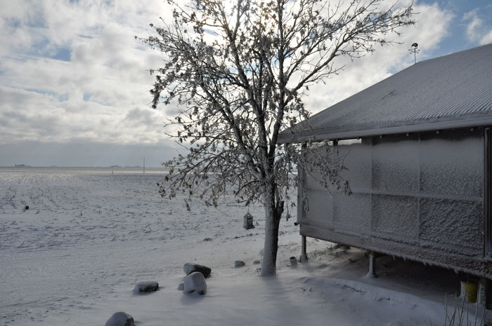 again-with-the-snow-029