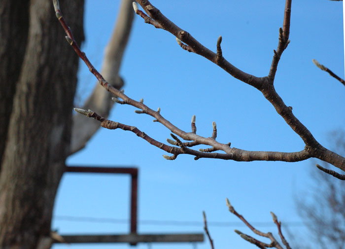 Here’s to a new day