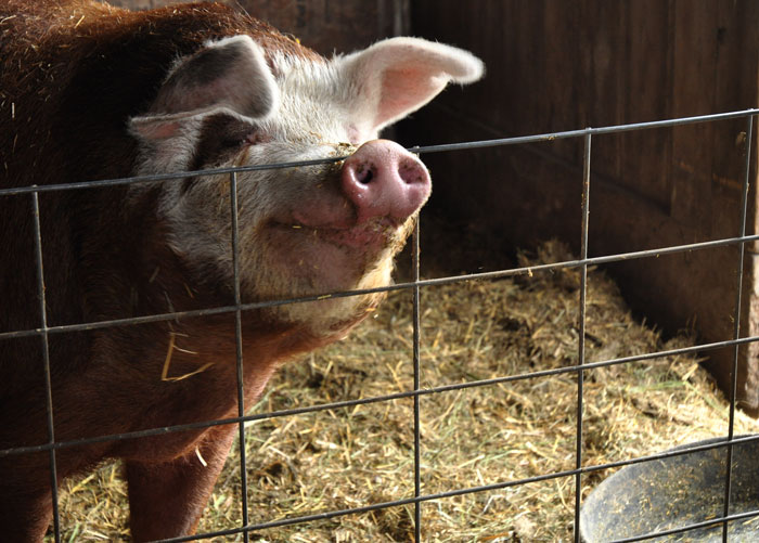 Sprucing things up…