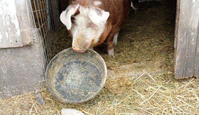 day-off-tomorrow-033