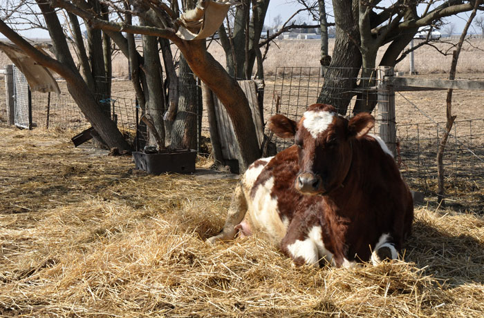 not-today-either-027