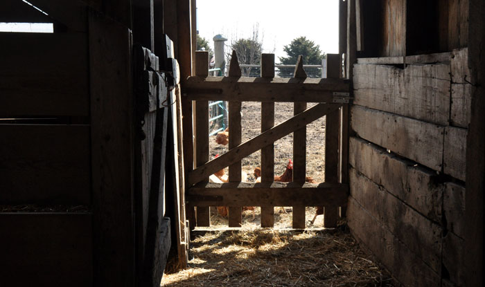 not-today-either-037