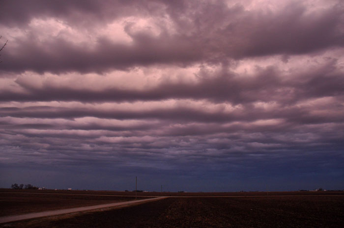 The Cuteness Factory