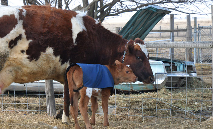 sunday-on-the-farm-067