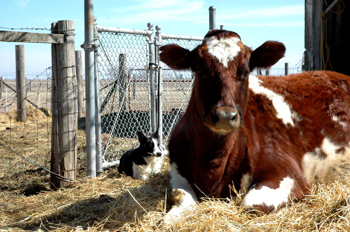 waiting-some-more-006