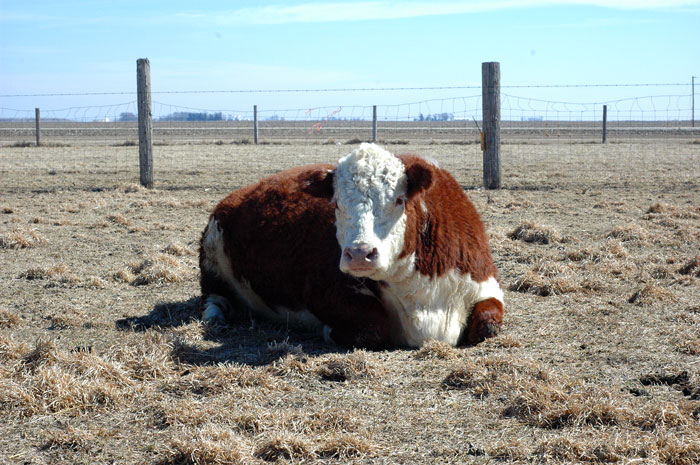 waiting-some-more-013