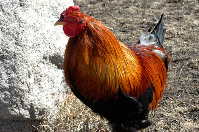 waiting-some-more-028