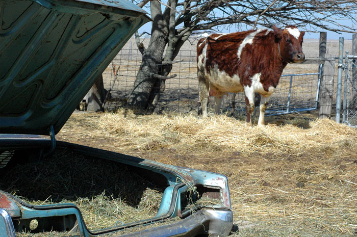 waiting-some-more-033