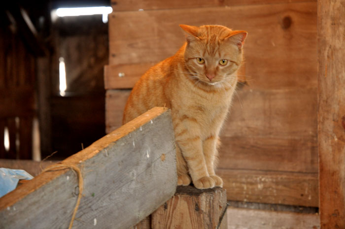 I am not the only&nbsp;One