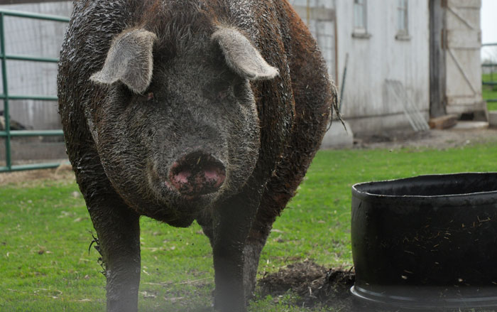 Look what came in the&nbsp;Mail