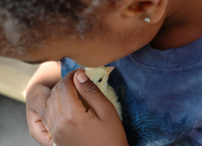 children-and-more-009