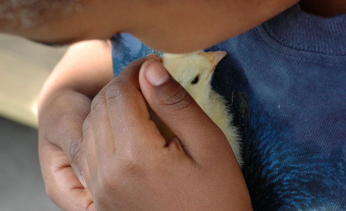 children-and-more-009