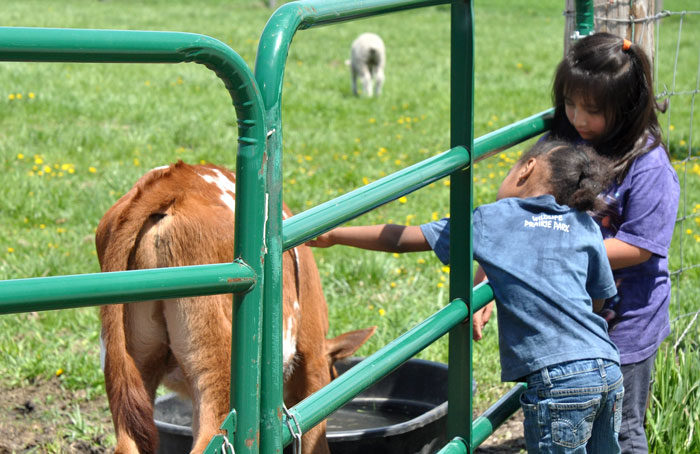 children-and-more-038