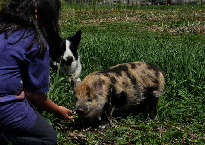 children-and-more-045