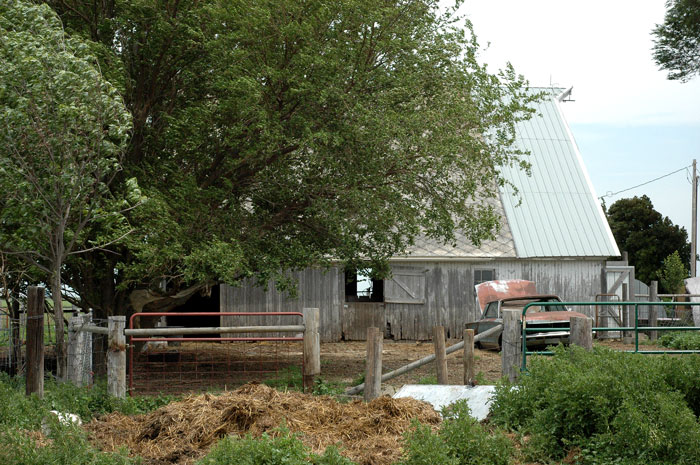 farming-windy-day-019