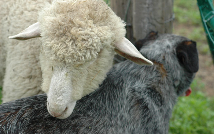 fields-and-babies-007