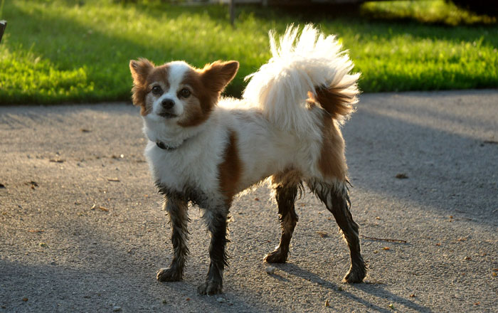 tis-a-puzzle-ment-047