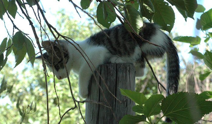 Did I Forget&nbsp;something?