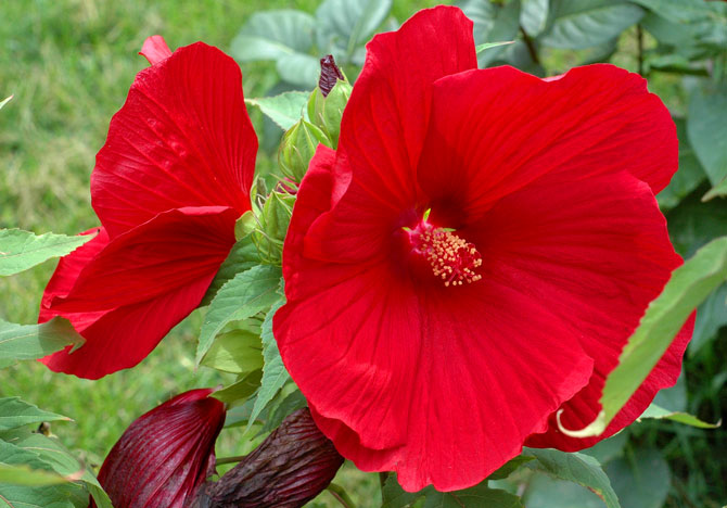 That kind of&nbsp;cold