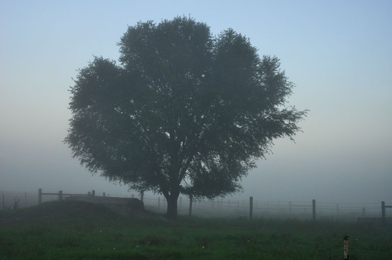 tables-and-chairs-005