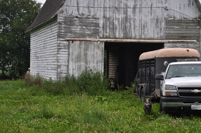 thekitchens-garden-2-001