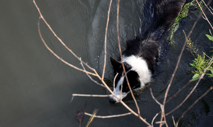 thekitchens-garden-2-039