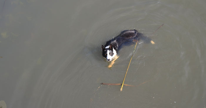 thekitchens-garden-2-042