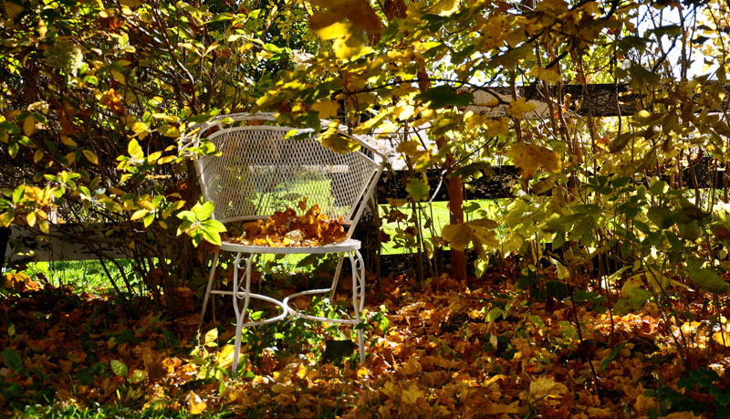 Back to The&nbsp;farm.