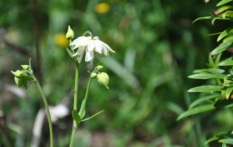 Back to Busy –&nbsp;ness