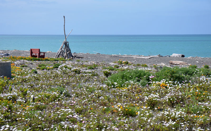 napier-new-zeland-035