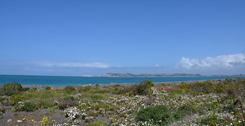 napier-new-zeland-040