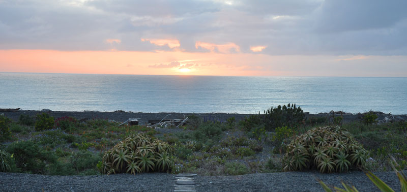 napier-new-zeland-042
