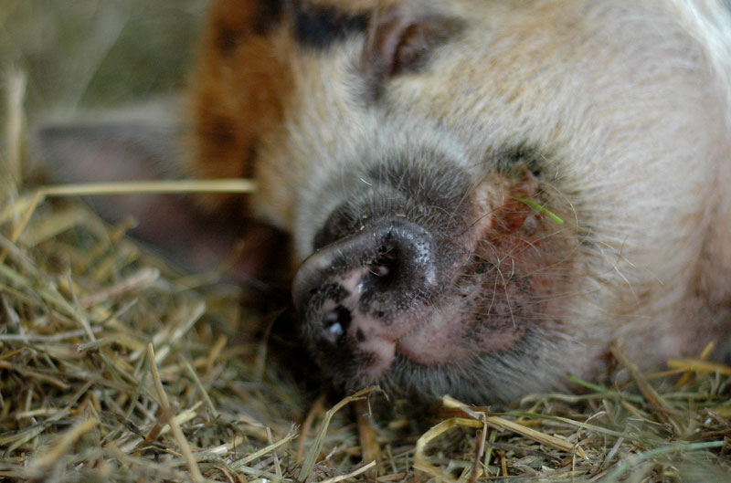 seeing-what-you-want-041