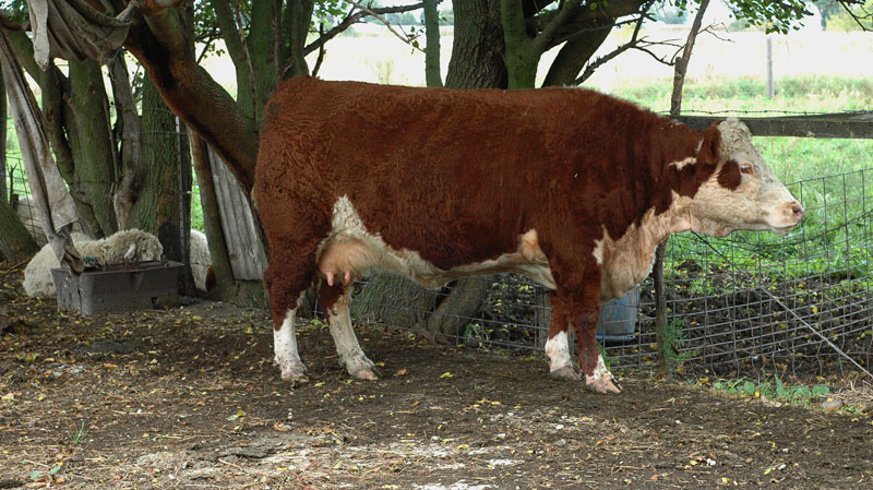 seeing-what-you-want-045