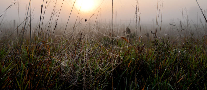 September in pictures