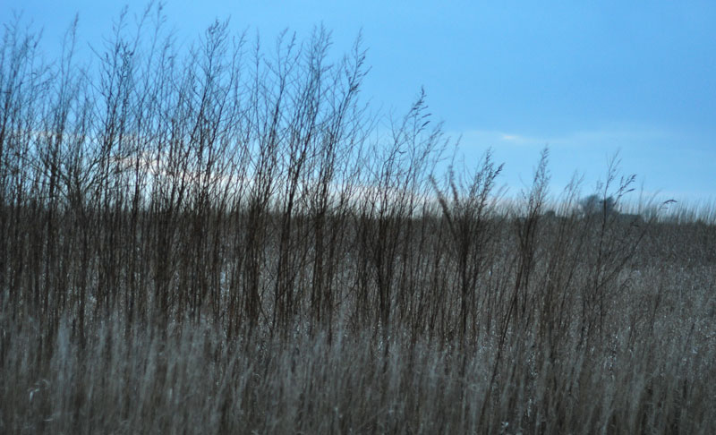 Eating wears me&nbsp;out!