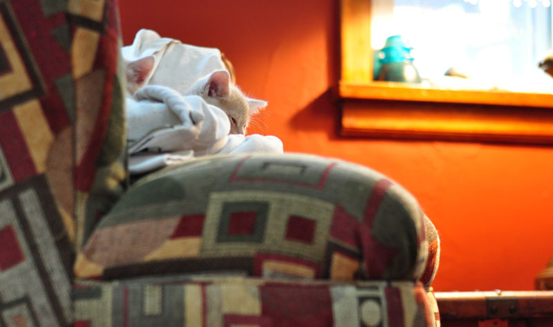 competition-time-012