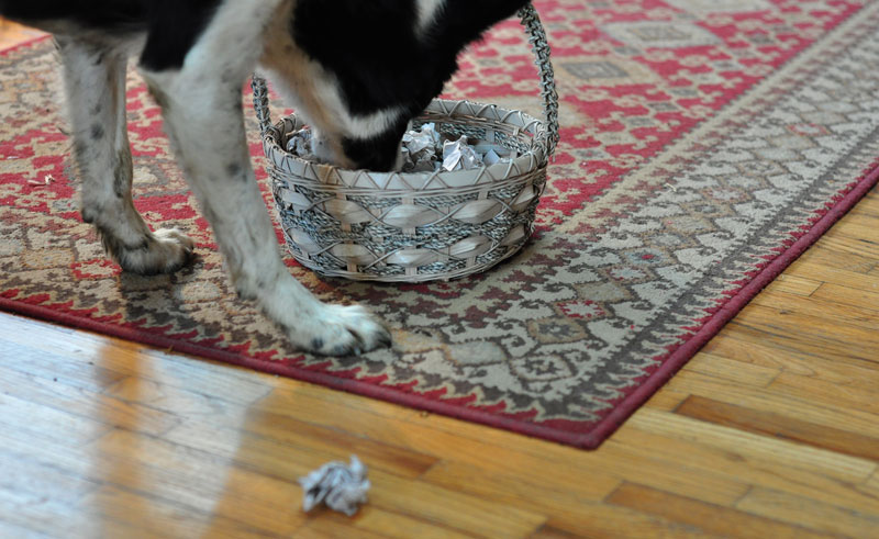 competition-time-019