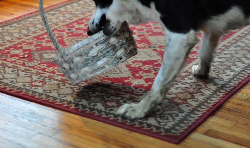 competition-time-025