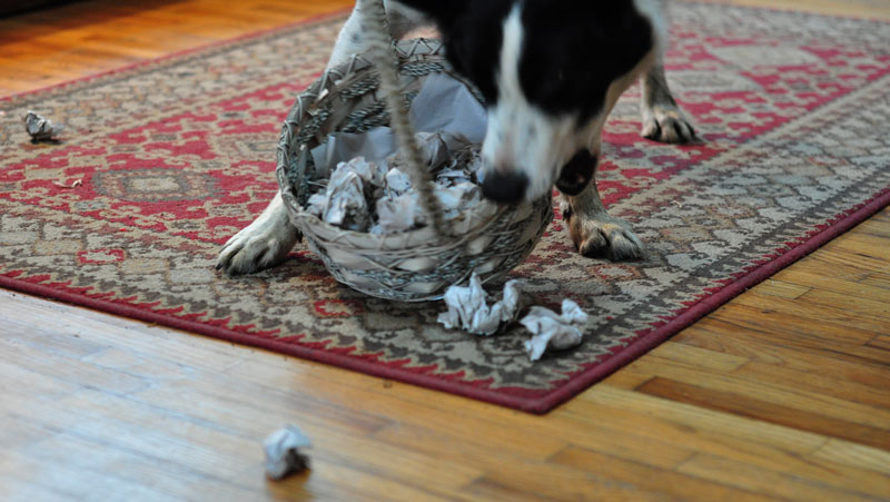 competition-time-033