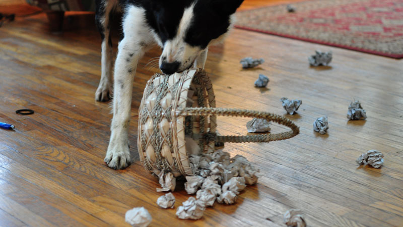 competition-time-041