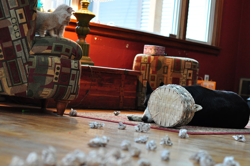 competition-time-049