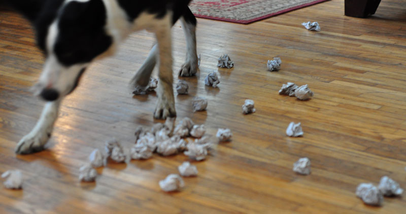 competition-time-053