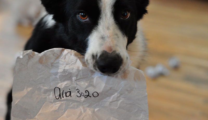 competition-time-061