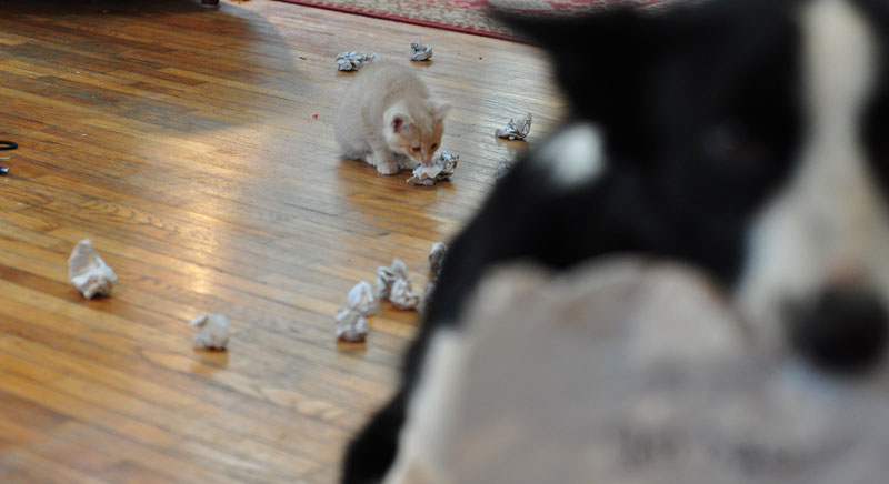 competition-time-064