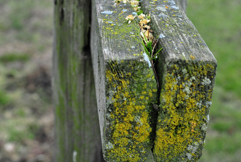 BooBoo gets a&nbsp;shock