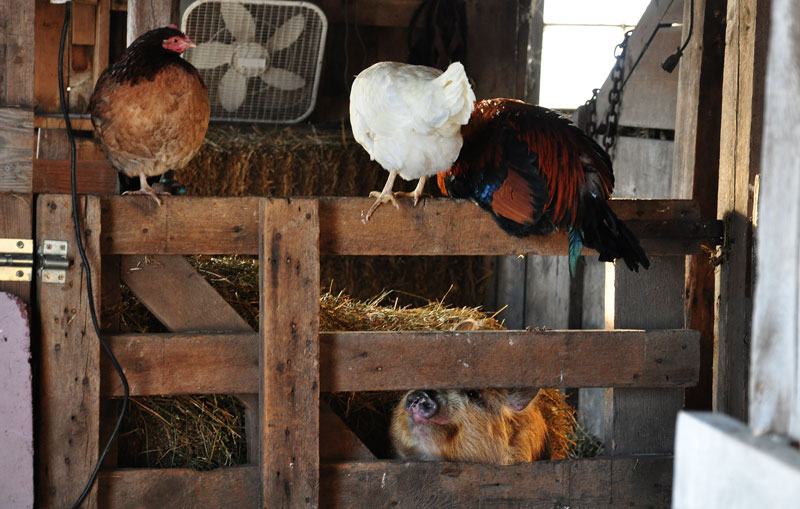 friday-faucet-day-001